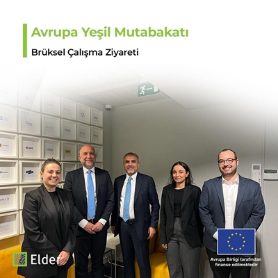 Türkiye ve Avrupa’daki elektrik dağıtım şirketlerini “eşleştirme” önerisi