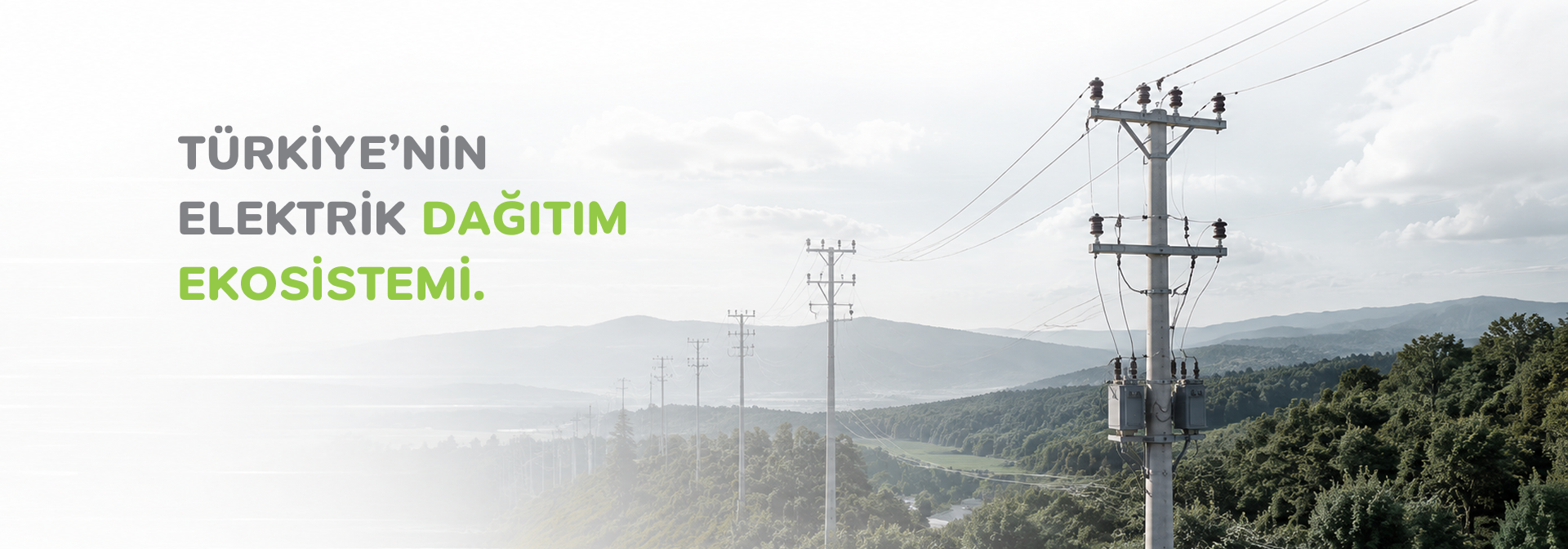 Türkiye’nin elektrik dağıtım ekosistemi
